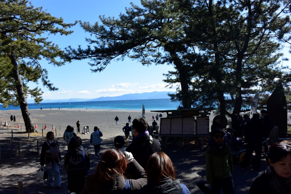 三保松原 松葉かき体験付きガイドツアー　松と海